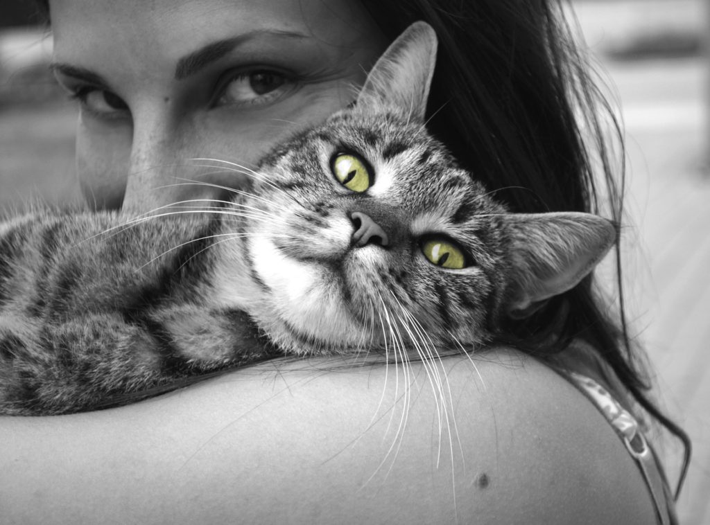 Divan Medical - woman with cat