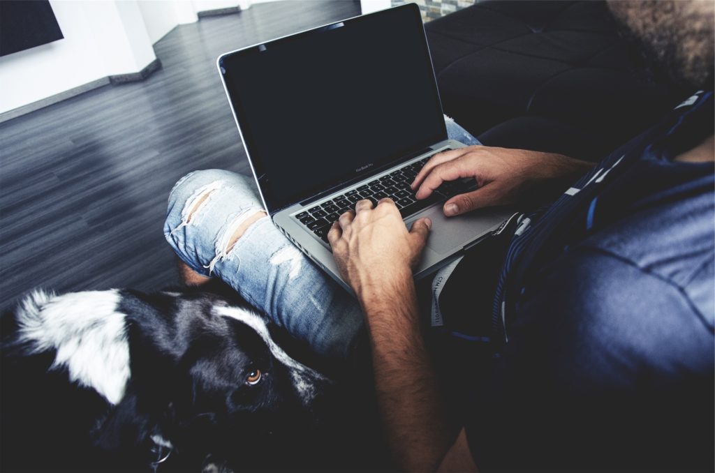Divan Medical - man with dog and computer