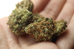 Divan Medical - medical marijuana