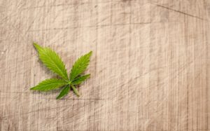 Divan - marijuana leaf